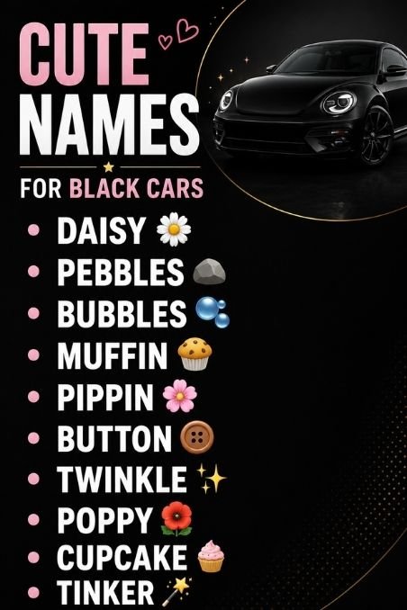 Cute Names For Black Cars