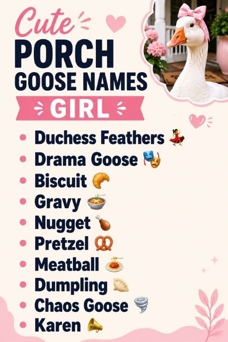 Cute Porch Goose Names Girl