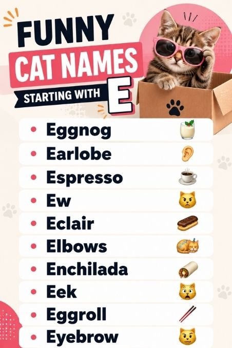 Funny Cat Names Starting With E