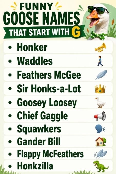 Funny Goose Names That Start With G