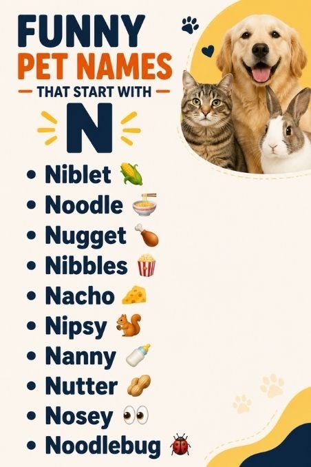 Funny Pet Names That Start With N