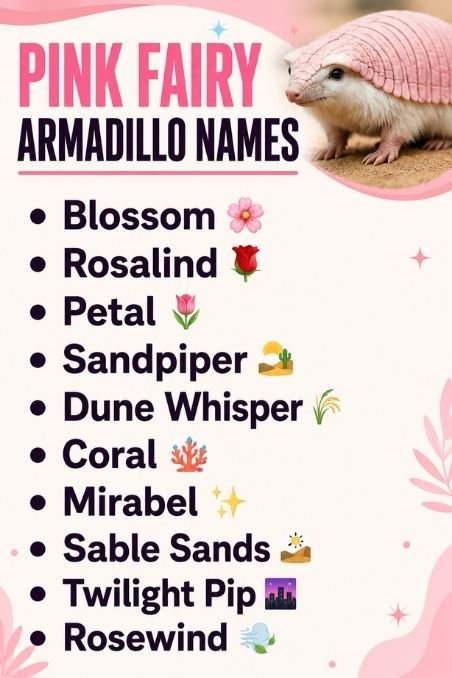 Pink Fairy Armadillo Names