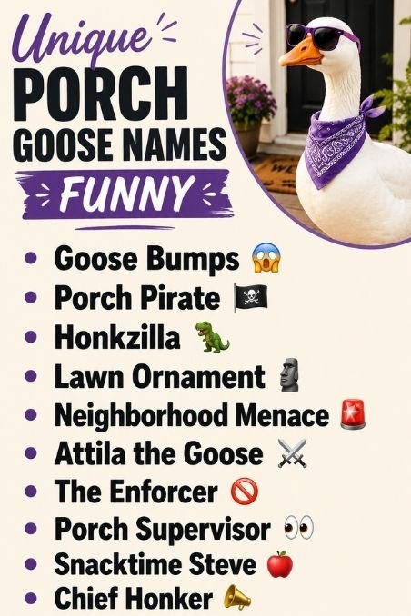 Unique Porch Goose Names Funny
