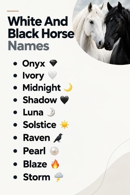 White And Black Horse Names