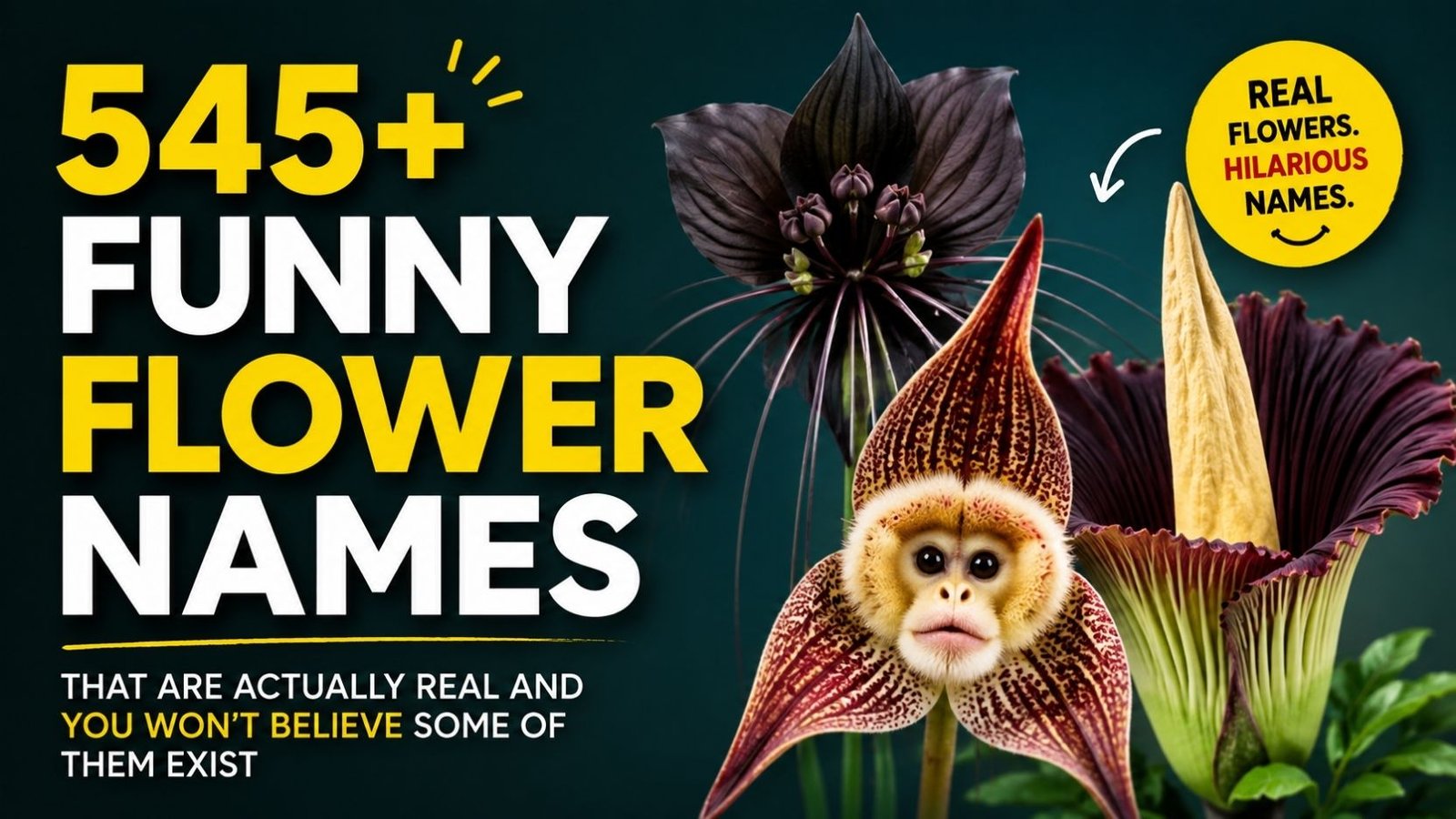 545+ Funny Flower Names That Are Actually Real And You Won’t Believe Some Of Them Exist