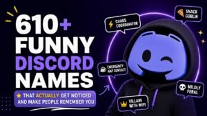 610+ Funny Discord Names That Actually Get Noticed And Make People Remember You