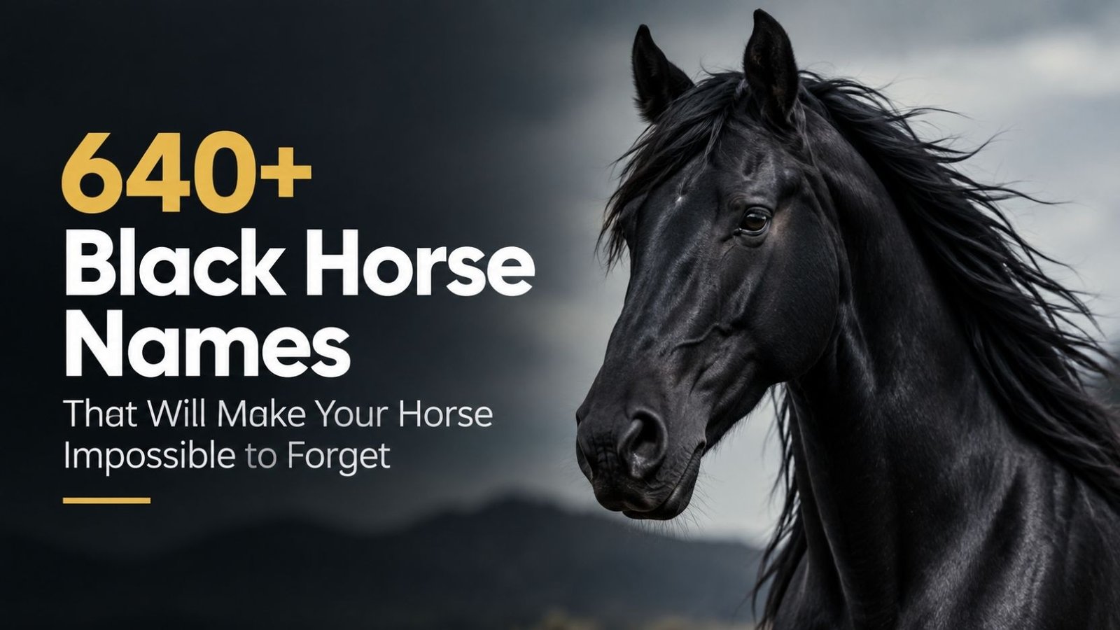 640+ Black Horse Names That Will Make Your Horse Impossible to Forget