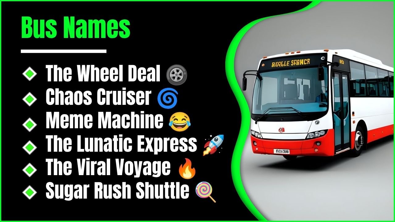 700+ Bus Names: Hilarious, Creative & Unique Ideas